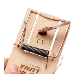 Klasyczna pułapka na szczury